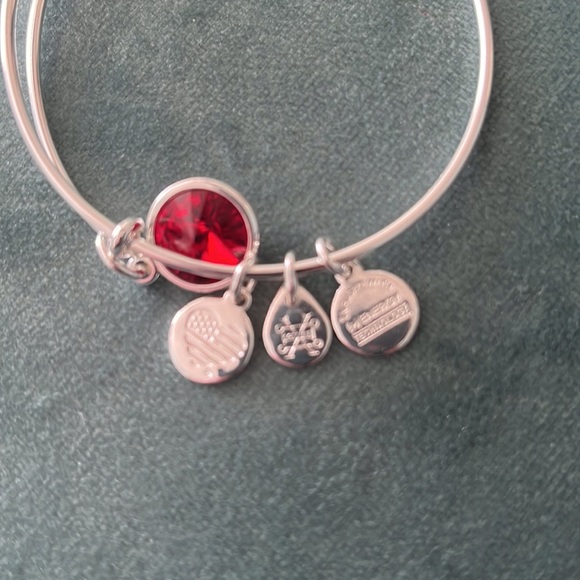 Brand new Alex and Ani charm bracelet - Picture 4 of 5